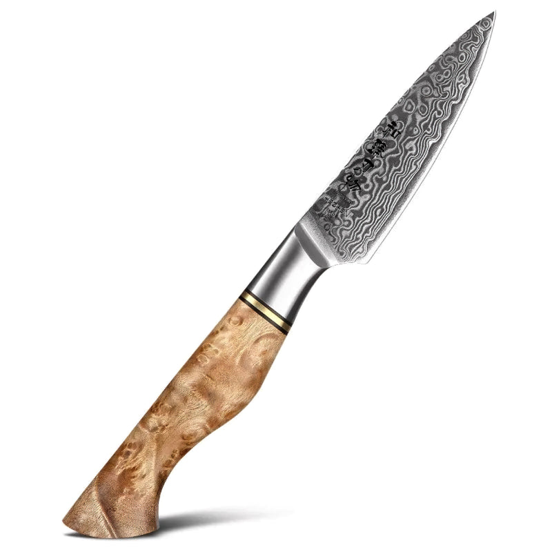 Professional Damascus Paring Knife - 3.5 Inch - B30M Series