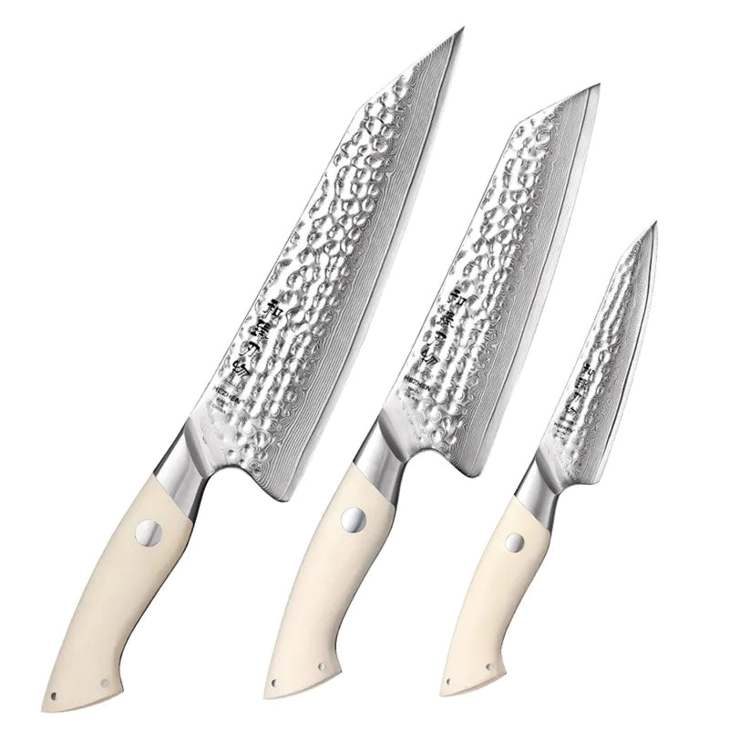 3Pcs Japanese Damascus Kitchen Knife Set - B38H Elegant Series