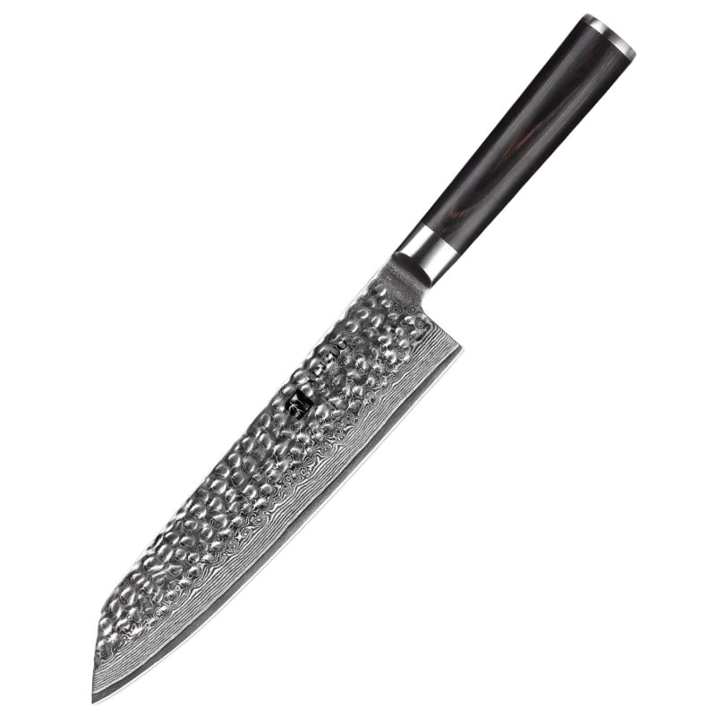 Xinzuo Professional Chef Knife Damascus Steel Stria He Series