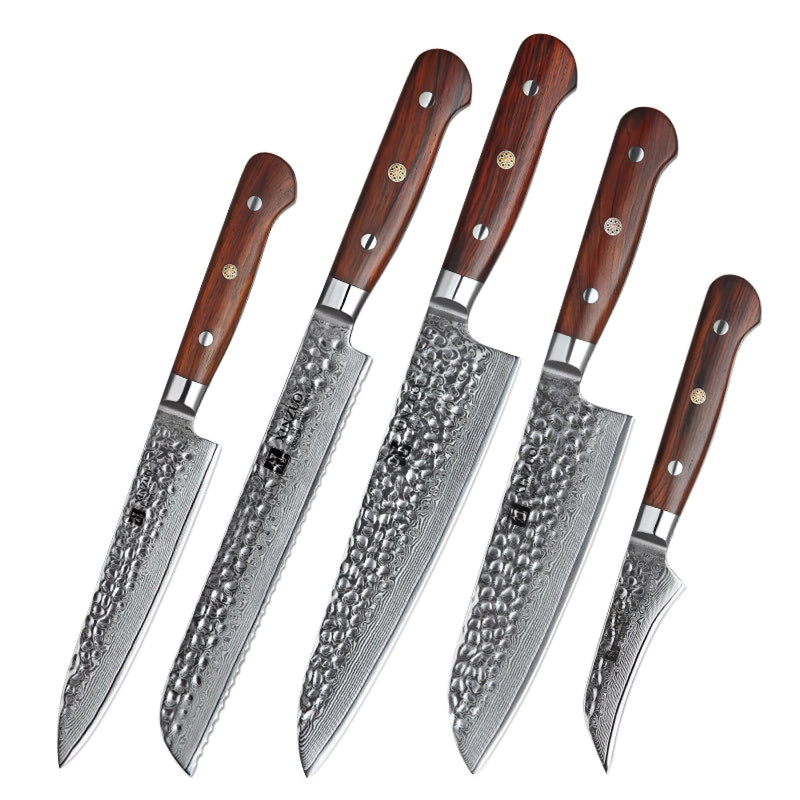 Xinzuo Professional Damascus Kitchen Knife Set 5 Pieces Yun Series