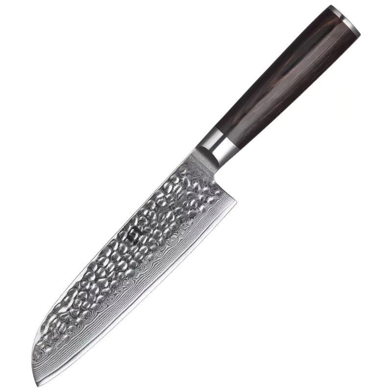 Xinzuo Professional Santoku Knife Damascus Steel Stria He Series