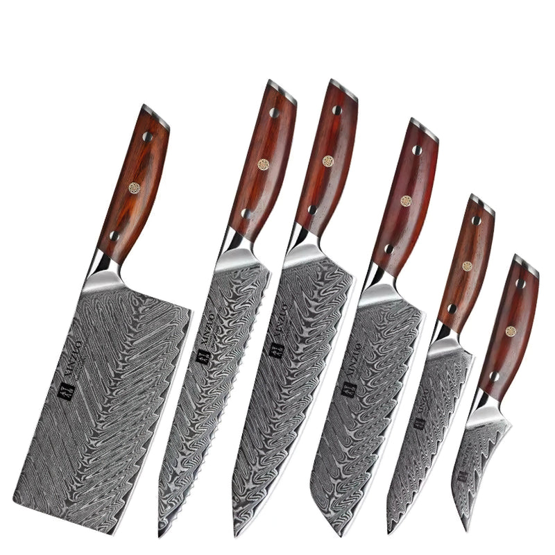 Xinzuo Professional Damascus Kitchen Knife Set 6 Pieces Yi Series