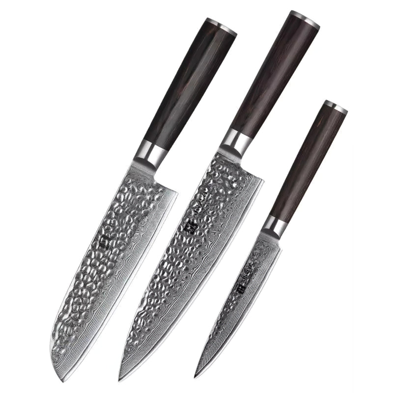 Xinzuo Professional Damascus Kitchen Knife Set 3 Pieces Stria He Series