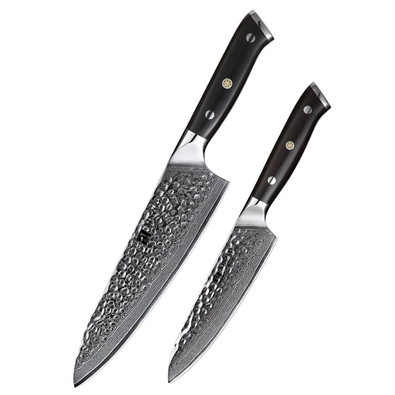 Xinzuo Professional Damascus Kitchen Knife Set 2 Pieces Ebony Yu Series