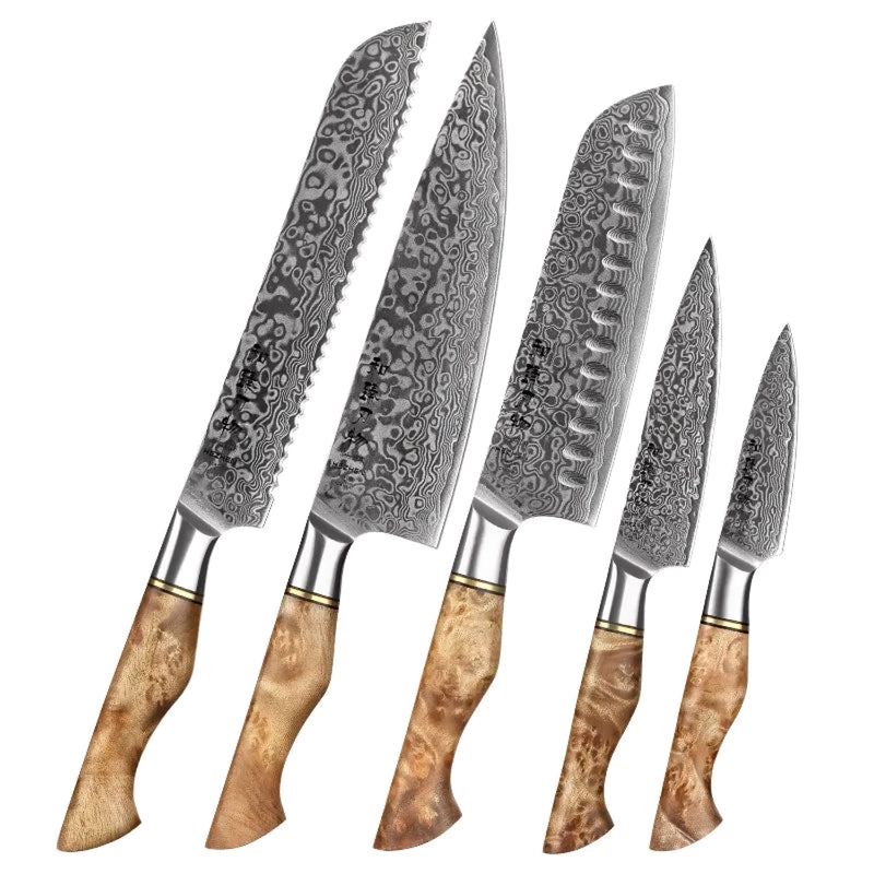 Professional Damascus Chef Knife Set - 5 Pieces - B30M Series