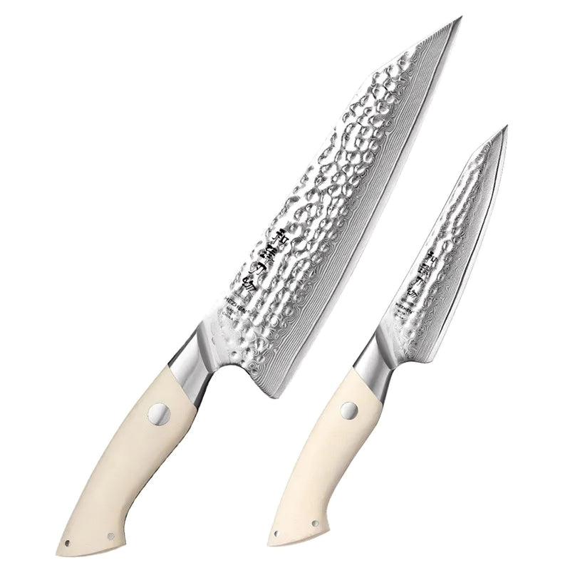 2 Pcs Japanese Damascus Knife Set - B38H Elegant Series