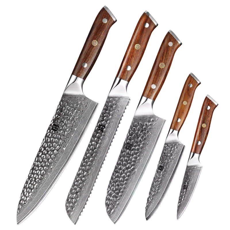 Xinzuo Professional Damascus Kitchen Knife Set 5 Pieces Stria Yu Series