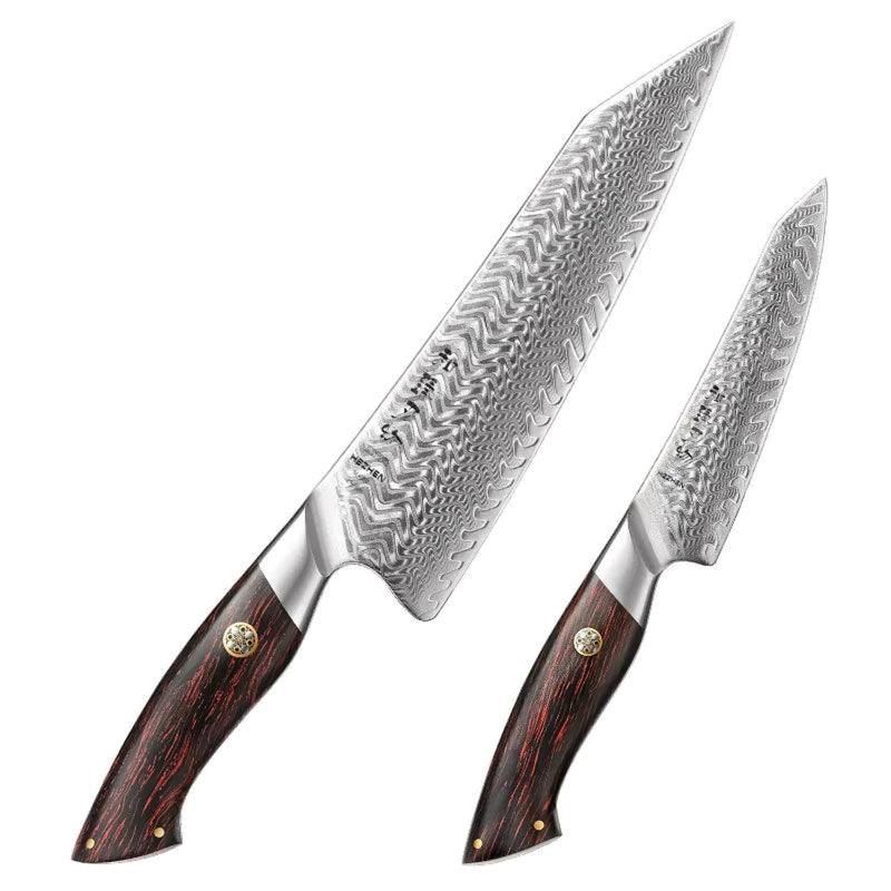 Japanese Damascus 2Pcs Chef Knife Set Elegant Series