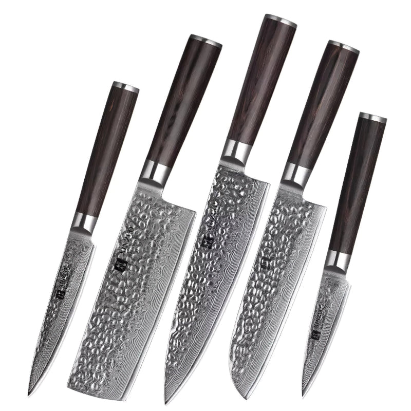 Xinzuo Professional Damascus Kitchen Knife Set 5 Pieces Stria He Series