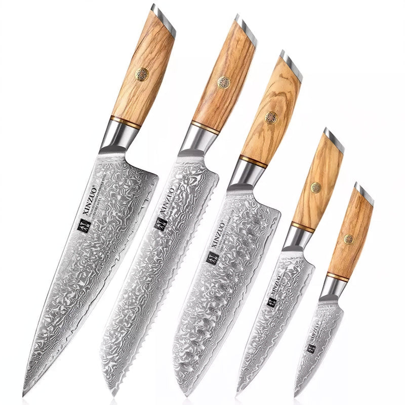 Xinzuo Professional Damascus Kitchen Knife Set 5 Pieces Lan Series