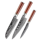 Xinzuo Professional Damascus Kitchen Knife Set 3 Pieces He Series