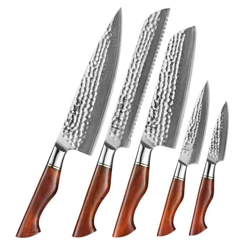 Damascus 5 Piece Knife Set  - Professional Master Series Knives