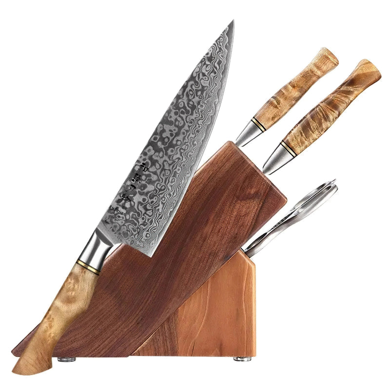 Professional Damascus Kitchen Knife Set - 5 Pieces With Block - B30M Series