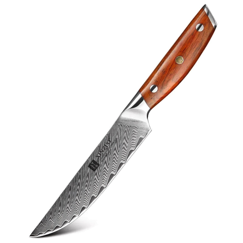 Xinzuo Professional Steak Knife Damascus Steel Yi Series