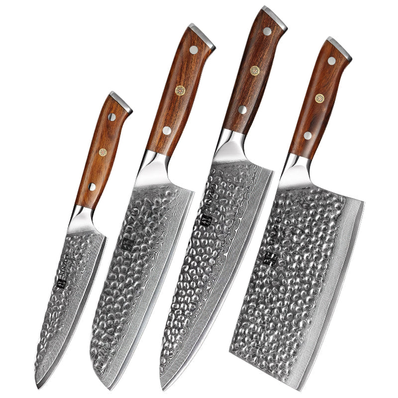 Xinzuo Professional Damascus Kitchen Knife Set 4 Pieces Stria Yu Series