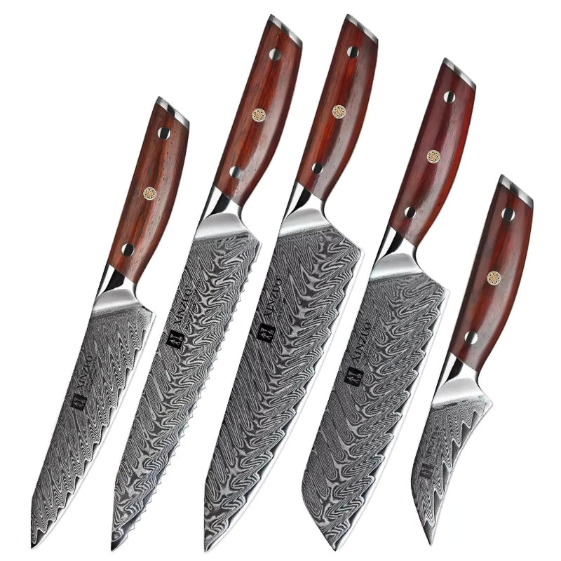 Xinzuo Professional Damascus Kitchen Knife Set 5 Pieces Yi Series