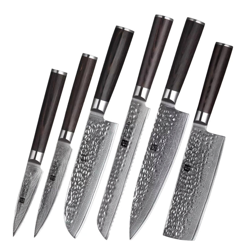 Xinzuo Professional Damascus Kitchen Knife Set 6 Pieces Stria He Series