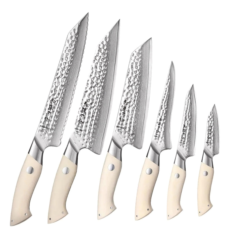 6Pcs Japanese Damascus Chef Knife Set - B38H Elegant Series