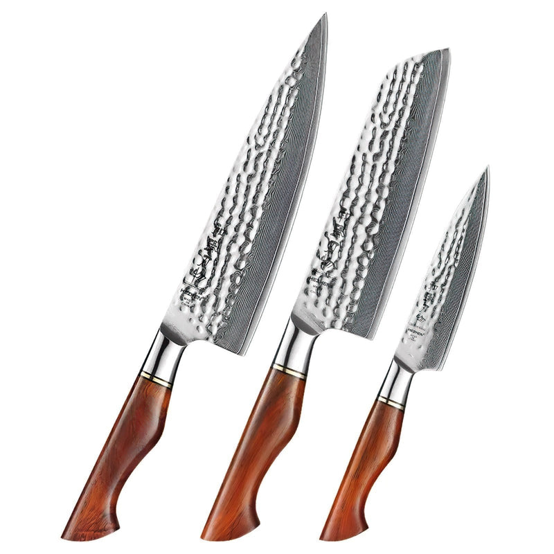 Damascus 3 Piece Knife Set  - Professional Master Series Knives