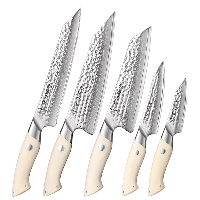 5Pcs Japanese Damascus Chef Knife Set - B38H Elegant Series