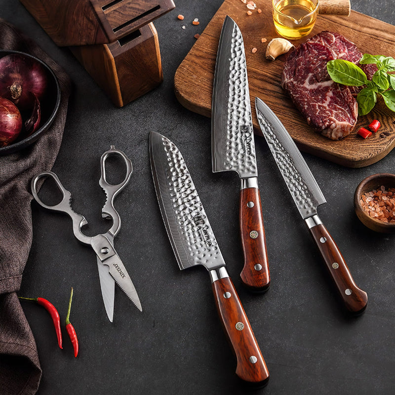 Xinzuo Professional Damascus Kitchen Knife Set 4 Pieces Yun Series