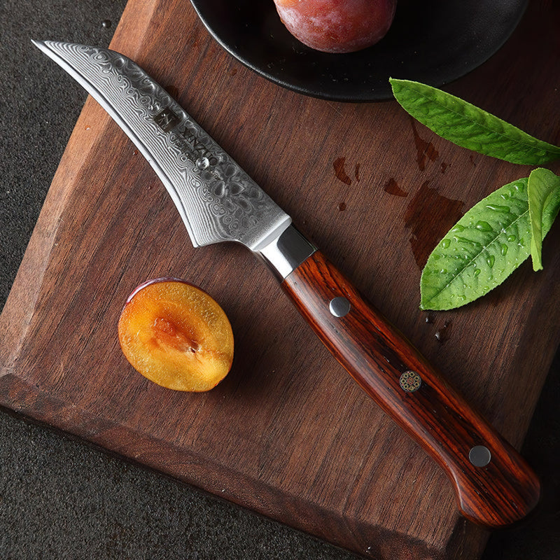 Xinzuo Professional Fruit Knife Damascus Steel Yun Series