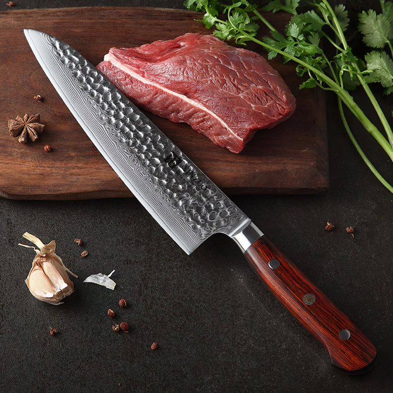 Xinzuo Professional Chef Knife Damascus Steel Yun Series