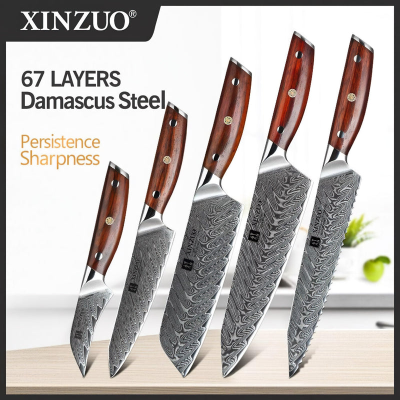 Xinzuo Professional Damascus Kitchen Knife Set 5 Pieces Yi Series