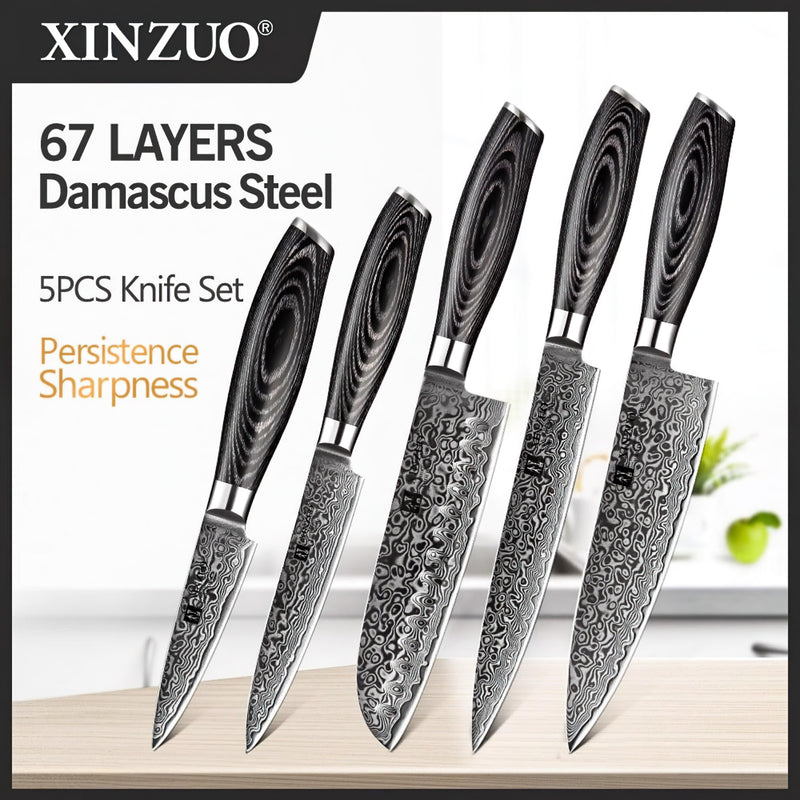 Xinzuo Professional Damascus Kitchen Knife Set 5 Pieces Ya Series