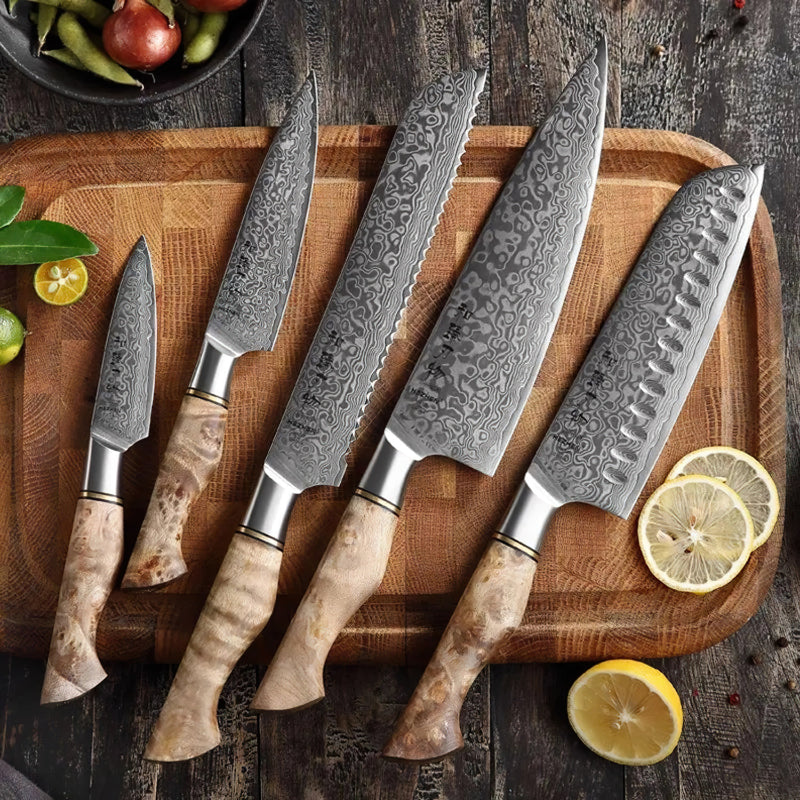 Professional Damascus Chef Knife Set - 5 Pieces - B30M Series