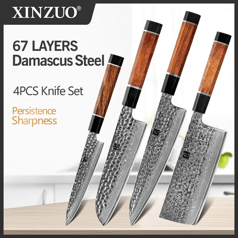 Xinzuo Professional Damascus Kitchen Knife Set 4 Pieces Stria Zhen Series