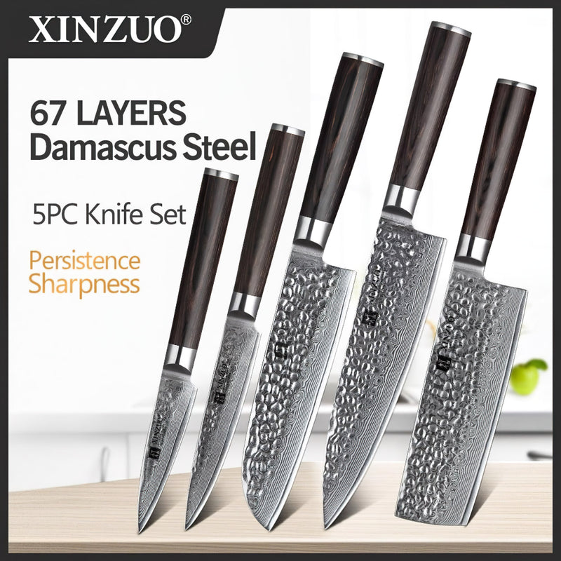 Xinzuo Professional Damascus Kitchen Knife Set 5 Pieces Stria He Series