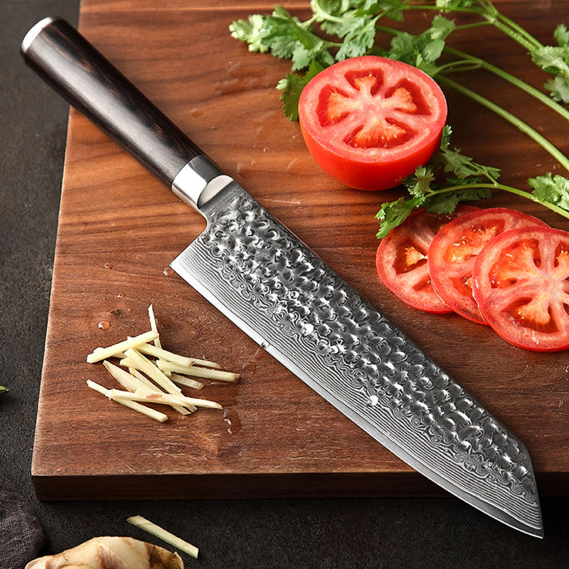 Xinzuo Professional Chef Knife Damascus Steel Stria He Series