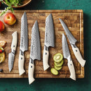 6Pcs Japanese Damascus Chef Knife Set - B38H Elegant Series