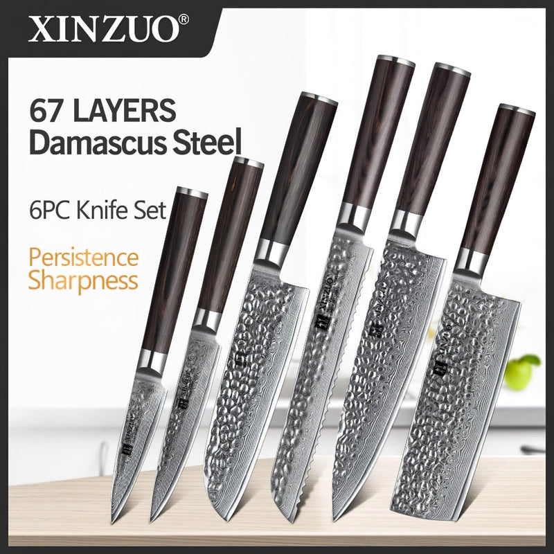 Xinzuo Professional Damascus Kitchen Knife Set 6 Pieces Stria He Series