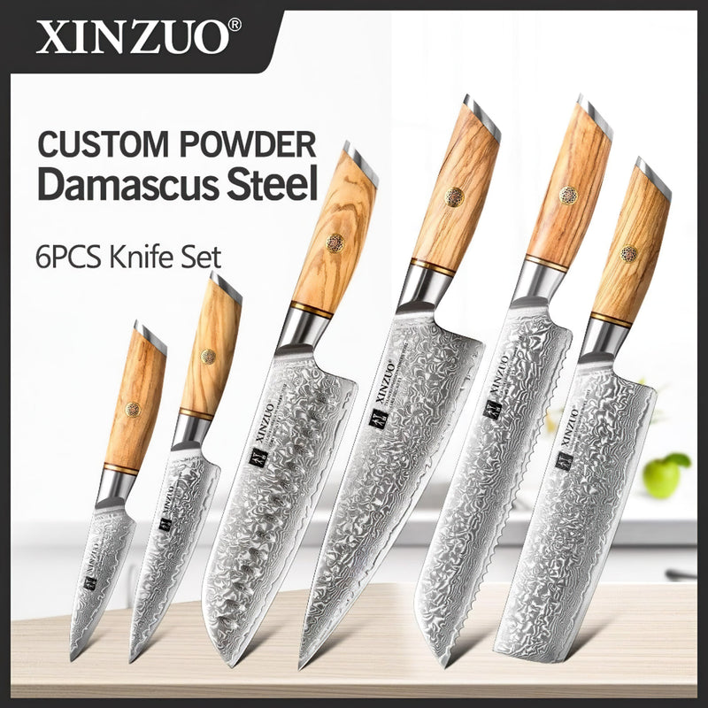 Xinzuo Professional Damascus Kitchen Knife Set 6 Pieces Lan Series