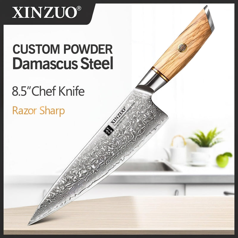 Xinzuo Professional Chef Knife Damascus Steel Lan Series