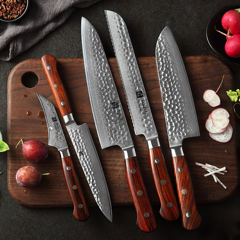 Xinzuo Professional Damascus Kitchen Knife Set 5 Pieces Yun Series