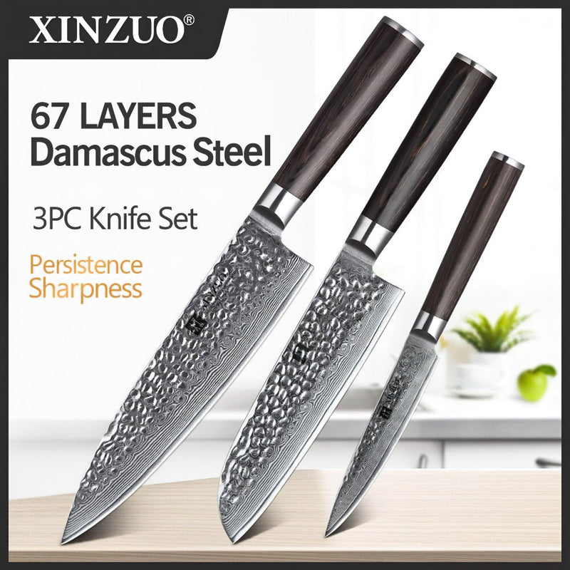 Xinzuo Professional Damascus Kitchen Knife Set 3 Pieces Stria He Series