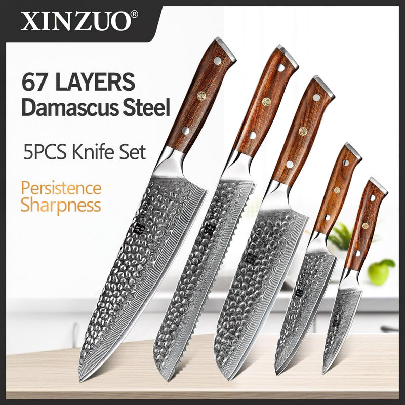 Xinzuo Professional Damascus Kitchen Knife Set 5 Pieces Stria Yu Series