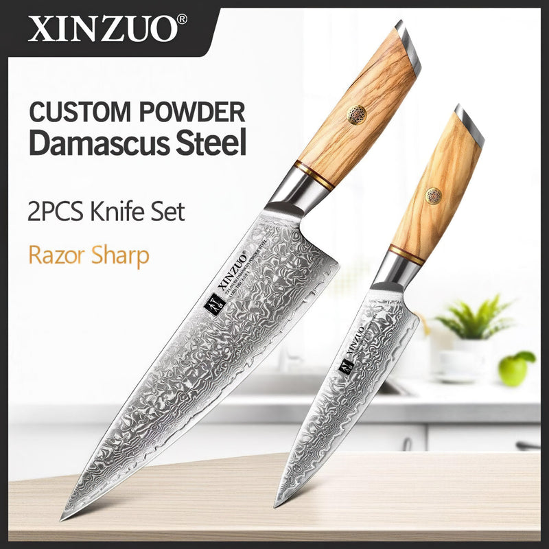 Xinzuo Professional Damascus Kitchen Knife Set 2 Pieces Lan Series