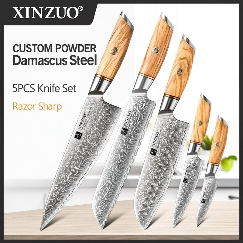 Xinzuo Professional Damascus Kitchen Knife Set 5 Pieces Lan Series