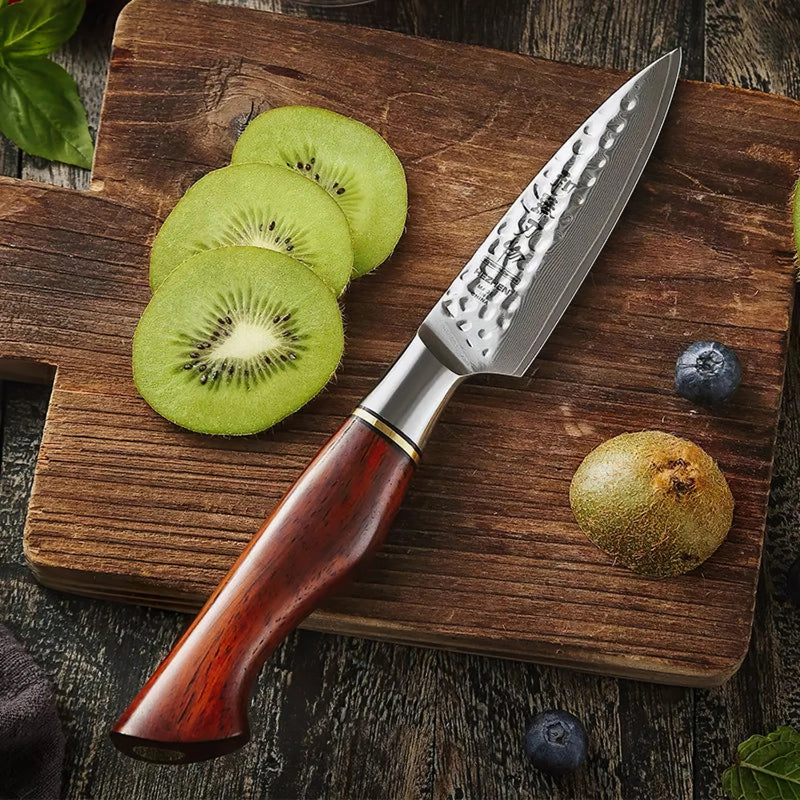 Damascus Paring Knife 9.3cm - Professional Master Series Knives