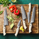 5Pcs Japanese Damascus Chef Knife Set - B38H Elegant Series