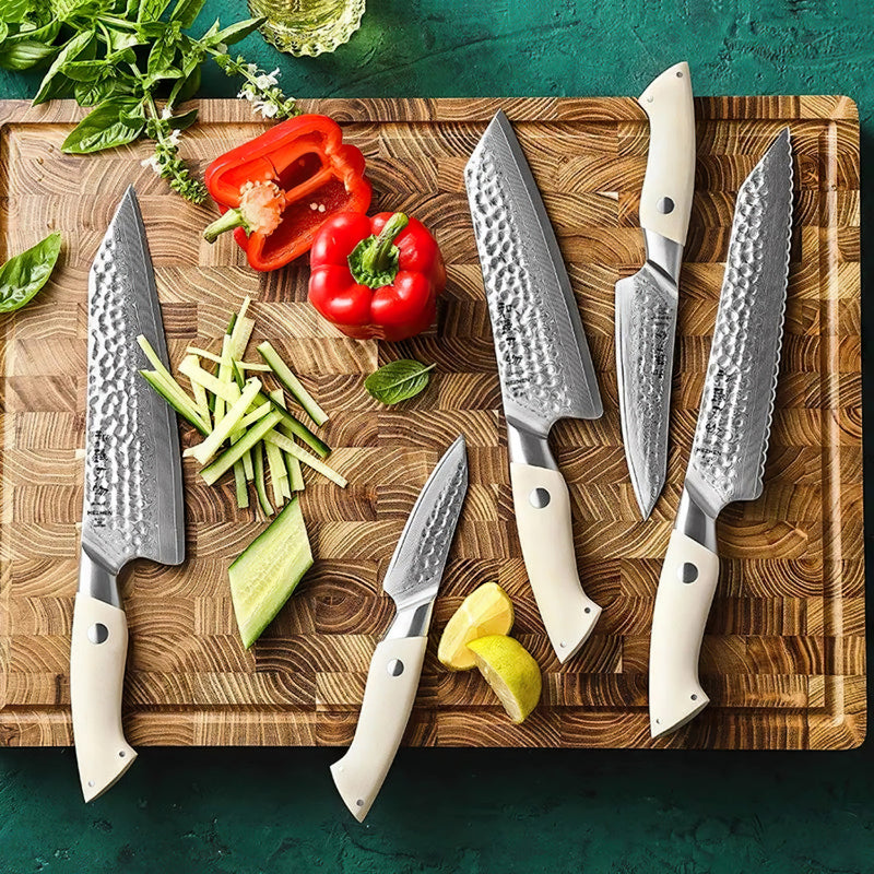 5Pcs Japanese Damascus Chef Knife Set - B38H Elegant Series