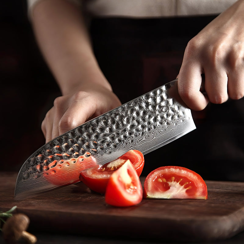 Xinzuo Professional Santoku Knife Damascus Steel Ebony Yu Series