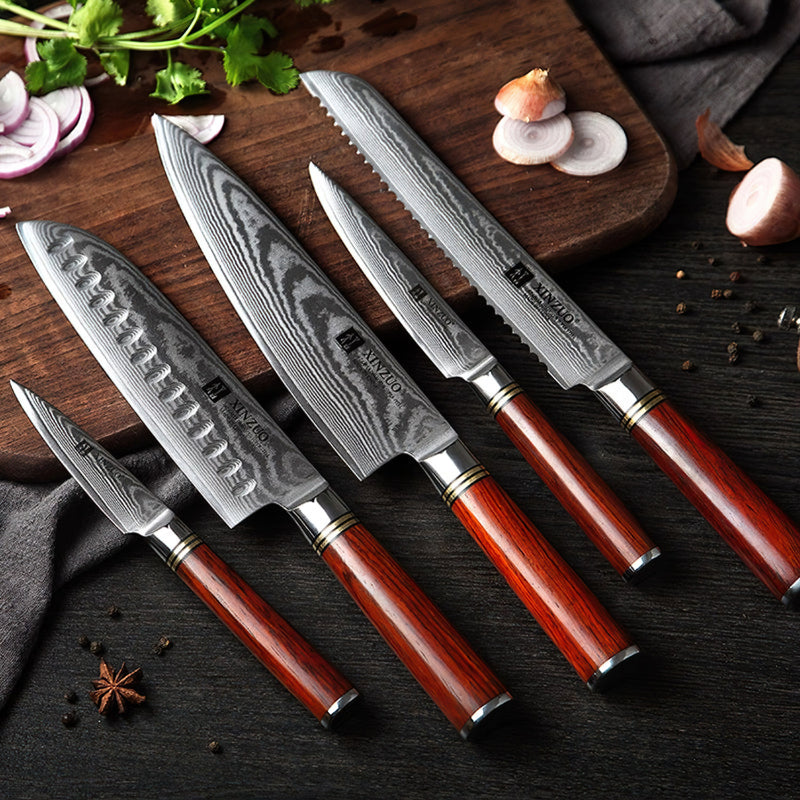 Xinzuo Professional Damascus Kitchen Knife Set 5 Pieces He Series