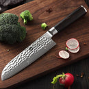 Xinzuo Professional Santoku Knife Damascus Steel Stria He Series