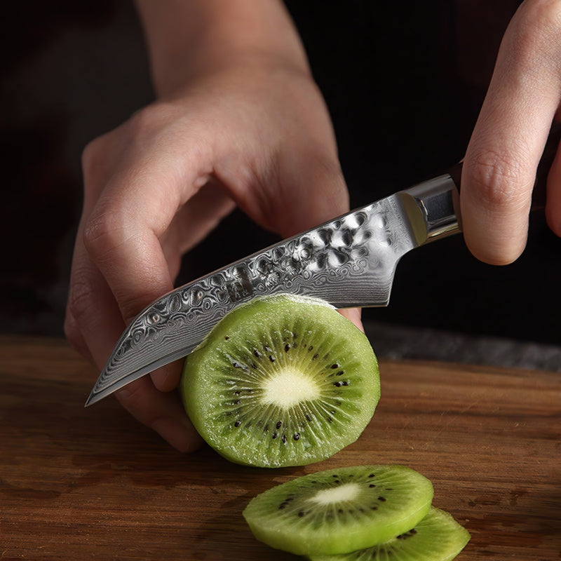 Xinzuo Professional Fruit Knife Damascus Steel Yun Series