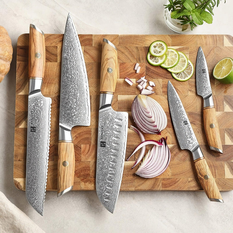 Xinzuo Professional Damascus Kitchen Knife Set 5 Pieces Lan Series